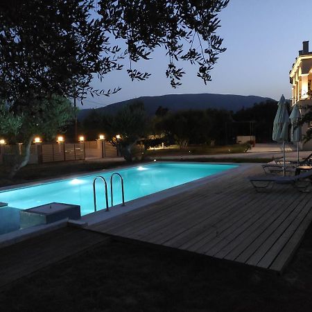 Villa Penelope Kalpaki  Esterno foto