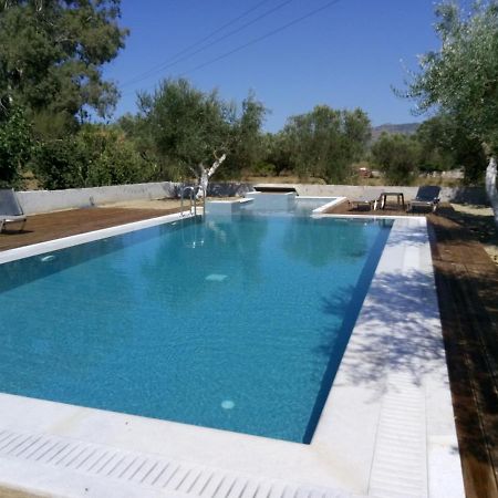 Villa Penelope Kalpaki  Esterno foto